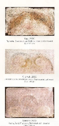 3 Bilder 2001 V+ü



Steinstaub aus Mallorca,Pigmente,Acryl auf Leinwand