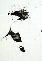OMOSHIRO 5 - (Zeichenkarton) 30.12.2012

 61x43 cm