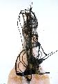 TING 34 (Zeichenkarton) 27.Februar  2014

100x70cm 